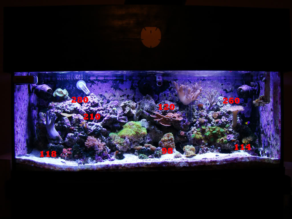 LED selection for FRESHwater aquarium lighting - Aquarium Advice ...