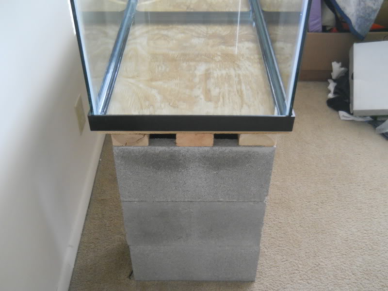 Can you use concrete blocks as an aquarium stand? - Aquarium Advice -  Aquarium Forum Community