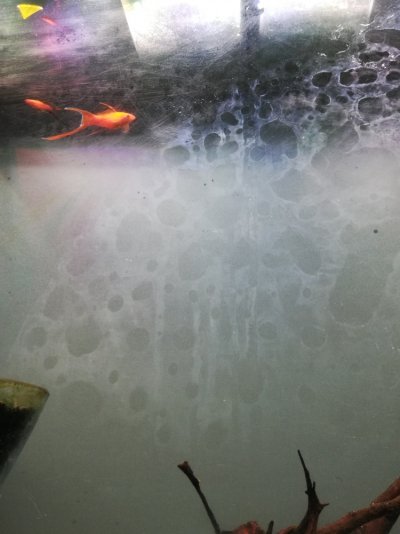Mystery haze on glass - Aquarium Advice - Aquarium Forum Community