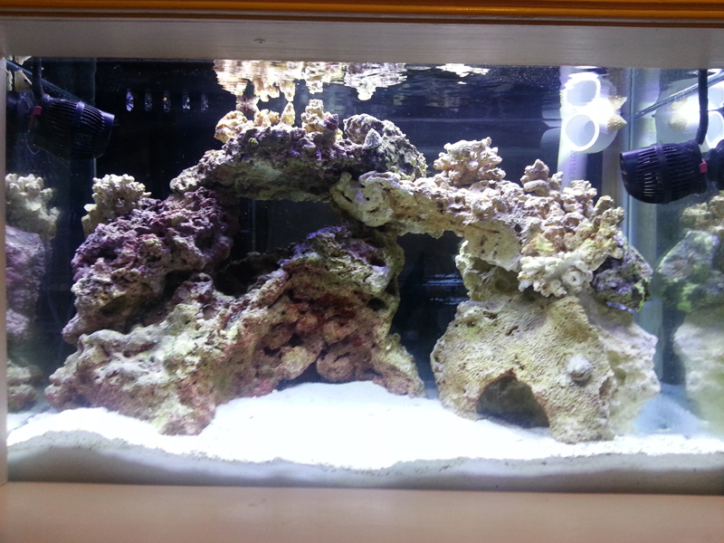 aquascape done