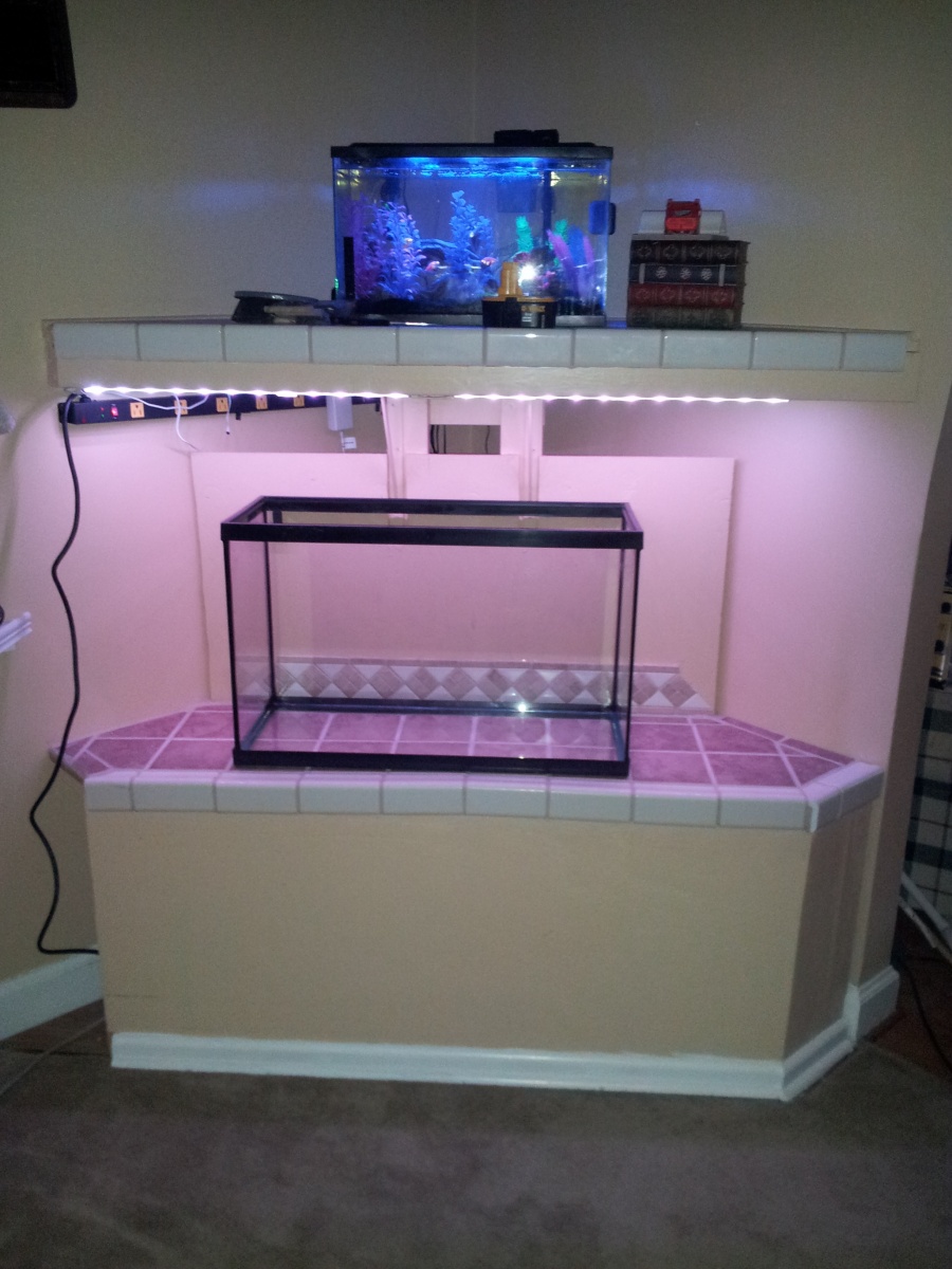 Just finished building this corner unit a few weeks prior to getting bottom tank
